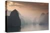 Vietnam, Halong Bay, Tourist Boats, Sunrise-Walter Bibikow-Stretched Canvas