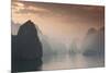 Vietnam, Halong Bay, Tourist Boats, Sunrise-Walter Bibikow-Mounted Photographic Print