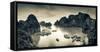 Vietnam, Halong Bay-Michele Falzone-Framed Stretched Canvas