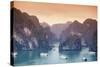 Vietnam, Halong Bay-Michele Falzone-Stretched Canvas