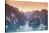 Vietnam, Halong Bay-Michele Falzone-Stretched Canvas