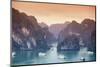 Vietnam, Halong Bay-Michele Falzone-Mounted Photographic Print