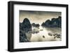 Vietnam, Halong Bay-Michele Falzone-Framed Photographic Print