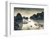 Vietnam, Halong Bay-Michele Falzone-Framed Photographic Print