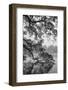 Vietnam, Hanoi. Hoan Kiem Lake and Thap Rua, Turtle Pagoda-Walter Bibikow-Framed Photographic Print