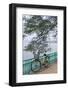 Vietnam, Hanoi. Tay Ho, West Lake, Bicycle-Walter Bibikow-Framed Photographic Print