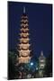 Vietnam, Hanoi. Tay Ho, West Lake, Tran Quoc Pagoda, Dusk-Walter Bibikow-Mounted Photographic Print