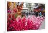 Vietnam, Hanoi. Tet Lunar New Year, Cherry Blossoms for Sale-Walter Bibikow-Framed Photographic Print