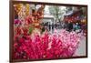 Vietnam, Hanoi. Tet Lunar New Year, Cherry Blossoms for Sale-Walter Bibikow-Framed Photographic Print