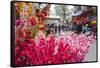 Vietnam, Hanoi. Tet Lunar New Year, Cherry Blossoms for Sale-Walter Bibikow-Framed Stretched Canvas