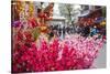 Vietnam, Hanoi. Tet Lunar New Year, Cherry Blossoms for Sale-Walter Bibikow-Stretched Canvas