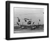 Vietnam Helicopter Assault-Associated Press-Framed Photographic Print