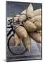 Vietnam, Ho Chi Minh City, Bicycle with Wicker Baskets-Walter Bibikow-Mounted Photographic Print