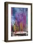 Vietnam, Ho Chi Minh City. Cholon, Chinatown Area, Thien Hau Pagoda, Burning Incense-Walter Bibikow-Framed Photographic Print