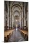 Vietnam, Ho Chi Minh City. Notre Dame Cathedral, Interior-Walter Bibikow-Mounted Photographic Print