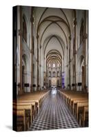 Vietnam, Ho Chi Minh City. Notre Dame Cathedral, Interior-Walter Bibikow-Stretched Canvas