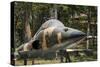 Vietnam, Ho Chi Minh City. Reunification Palace, Former South Vietnamese F-5E Fighter Plane-Walter Bibikow-Stretched Canvas