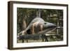 Vietnam, Ho Chi Minh City. Reunification Palace, Former South Vietnamese F-5E Fighter Plane-Walter Bibikow-Framed Photographic Print