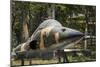 Vietnam, Ho Chi Minh City. Reunification Palace, Former South Vietnamese F-5E Fighter Plane-Walter Bibikow-Mounted Photographic Print