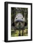 Vietnam, Ho Chi Minh City. Reunification Palace, Former South Vietnamese F-5E Fighter Plane-Walter Bibikow-Framed Photographic Print