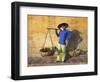 Vietnam, Hoi An, Fruit Vendor-Steve Vidler-Framed Photographic Print