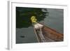 Vietnam, Hoi An, Quang Nam. Traditional Boat with Flowers on the Bow-Kevin Oke-Framed Photographic Print