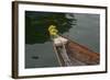 Vietnam, Hoi An, Quang Nam. Traditional Boat with Flowers on the Bow-Kevin Oke-Framed Photographic Print