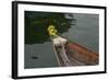 Vietnam, Hoi An, Quang Nam. Traditional Boat with Flowers on the Bow-Kevin Oke-Framed Photographic Print