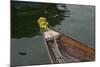 Vietnam, Hoi An, Quang Nam. Traditional Boat with Flowers on the Bow-Kevin Oke-Mounted Photographic Print