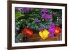 Vietnam. Hoi An silk lamps decorating throughout the city.-Tom Norring-Framed Photographic Print