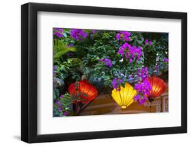 Vietnam. Hoi An silk lamps decorating throughout the city.-Tom Norring-Framed Photographic Print