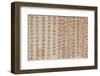 Vietnam, Hue Imperial City. Chinese Lettering-Walter Bibikow-Framed Photographic Print