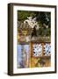 Vietnam, Hue Imperial City. Dien Tho Residence, Building Detail-Walter Bibikow-Framed Photographic Print