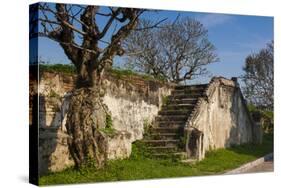 Vietnam, Hue Imperial City. Ruins of the Purple Forbidden City-Walter Bibikow-Stretched Canvas