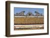 Vietnam, Hue Imperial City. Thai Hoa Palace, Roof Detail-Walter Bibikow-Framed Photographic Print