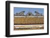 Vietnam, Hue Imperial City. Thai Hoa Palace, Roof Detail-Walter Bibikow-Framed Photographic Print