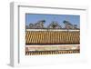 Vietnam, Hue Imperial City. Thai Hoa Palace, Roof Detail-Walter Bibikow-Framed Photographic Print