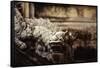 Vietnam, Hue, Royal Library Dragon Gargoyle, Close-Up-Walter Bibikow-Framed Stretched Canvas