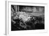 Vietnam, Hue, Royal Library Dragon Gargoyle, Close-Up-Walter Bibikow-Framed Photographic Print