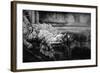 Vietnam, Hue, Royal Library Dragon Gargoyle, Close-Up-Walter Bibikow-Framed Photographic Print