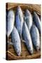 Vietnam. Mackerels from the nights catch on the beach at Hoi An.-Tom Norring-Stretched Canvas