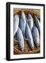 Vietnam. Mackerels from the nights catch on the beach at Hoi An.-Tom Norring-Framed Photographic Print
