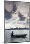 Vietnam, Mekong Delta. Can Tho, Riverside Port Area, Can Tho River-Walter Bibikow-Mounted Photographic Print