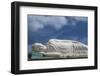 Vietnam, Mekong Delta. My Tho, Vinh Trang Pagoda, Giant Reclining Buddha Statue-Walter Bibikow-Framed Photographic Print