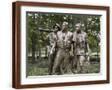 Brown Frame