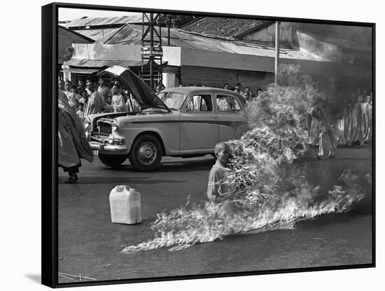 Vietnam Monk Protest-Malcolm Browne-Framed Stretched Canvas