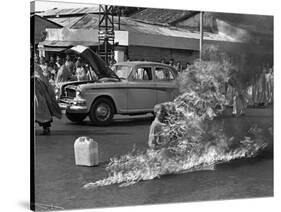 Vietnam Monk Protest-Malcolm Browne-Stretched Canvas