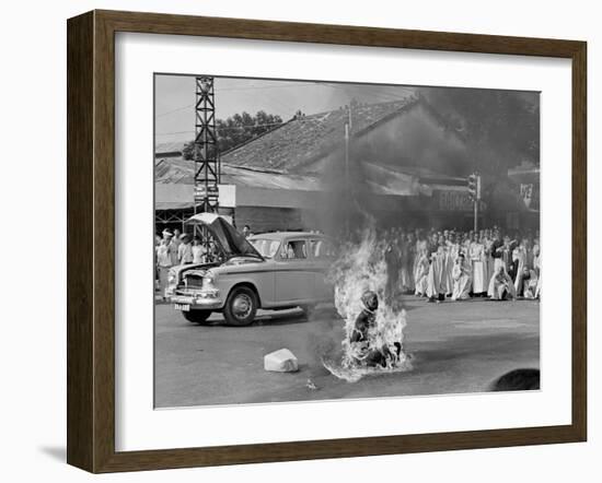 Vietnam Monk Protest-Malcolm Browne-Framed Premium Photographic Print