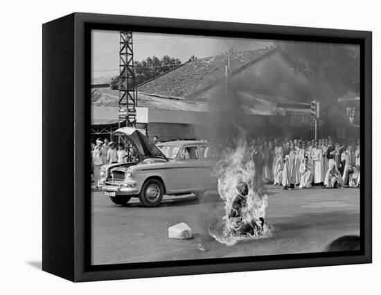 Vietnam Monk Protest-Malcolm Browne-Framed Stretched Canvas