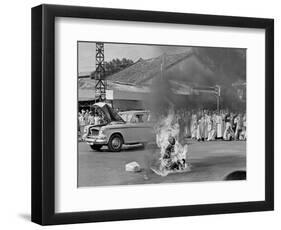 Vietnam Monk Protest-Malcolm Browne-Framed Photographic Print